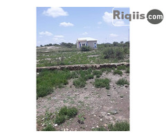 dhul iiba 15mx30m = 450m2 Borama land for sale - Image 1