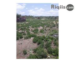 dhul iiba 15mx30m = 450m2 Borama land for sale - Image 2