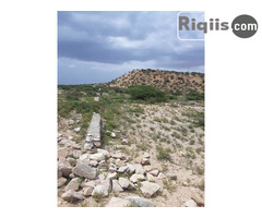 dhul iiba 15mx30m = 450m2 Borama land for sale - Image 3