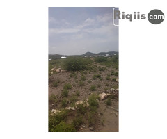 dhul iiba 15mx30m = 450m2 Borama land for sale - Image 3