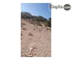 jago iiba 15mx30m = 450m2 Borama land for sale - Image 2