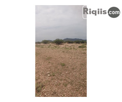 dhul iiba 15mx30m = 450m2 Borama land for sale - Image 1