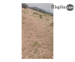 dhul iiba 15mx30m = 450m2 Borama land for sale - Image 3