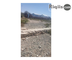 dhul iiba 15mx7.5 = 112.5m2 Borama land for sale - Image 2