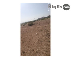 dhul iiba 15mx15m = 225m2 Borama land for sale - Image 1