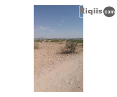 dhul iiba 15mx15m = 225m2 Borama land for sale - Image 2