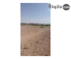 dhul iiba 15mx15m = 225m2 Borama land for sale - Image 3