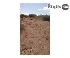 dhul iiba 30mx30m = 900m2 Borama land for sale - Image 1