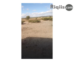 jago iiba 30mx30m = 900m2 borama land for sale - Image 1