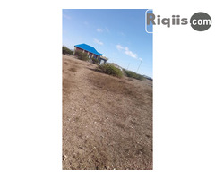 jago iiba 30mx30m = 900m2 borama land for sale - Image 3