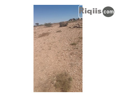 dhul iiba 15mx30m = 450m2 borama land for sale - Image 1