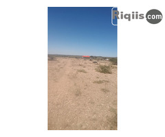 dhul iiba 15mx30m = 450m2 borama land for sale - Image 2