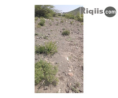 dhul iiba 15mx15m = 225m2 Borama land for sale - Image 1