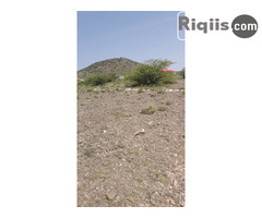 dhul iiba 15mx15m = 225m2 Borama land for sale - Image 2