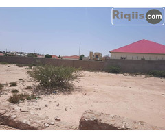 dhul iiba 18mx24m = 432m2 hargeisa land for sale - Image 2