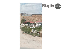 dhul iiba 20mx17m = 340m2 hargeisa land for sale - Image 2