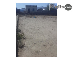 dhul iiba 7.5mx15m = 112.5 Borama land for sale - Image 1