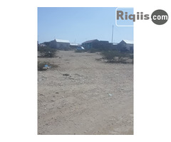 dhul iiba 7.5mx15m = 112.5 Borama land for sale - Image 2