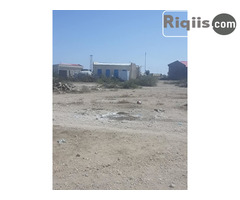 dhul iiba 7.5mx15m = 112.5 Borama land for sale - Image 3