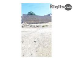 jago iiba 15mx15x = 225m2 Borama land for sale - Image 1