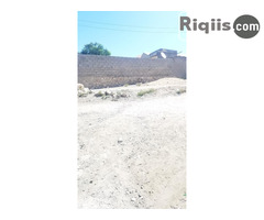 jago iiba 15mx15x = 225m2 Borama land for sale - Image 2