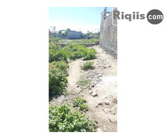 jago iiba 8mx15m = 120m2 Borama land for sale - Image 1