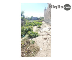 jago iiba 8mx15m = 120m2 Borama land for sale - Image 2