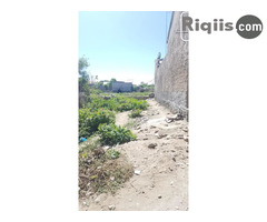 jago iiba 8mx15m = 120m2 Borama land for sale - Image 3